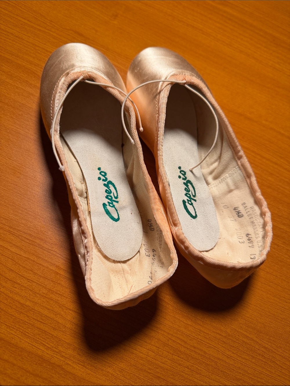 Capezio Prelude Pointe Shoes 4.5D
